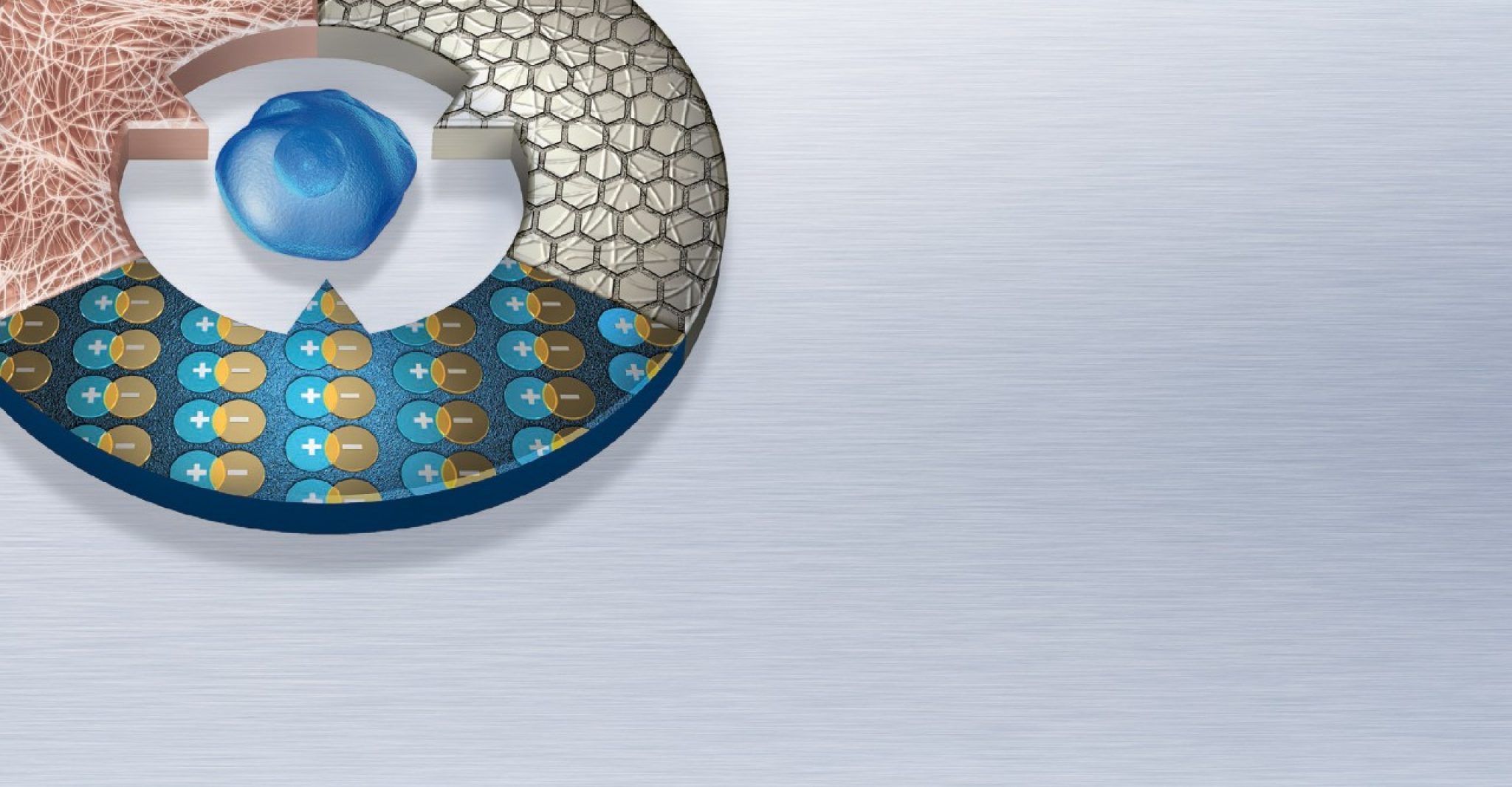 Fibronectin Human Fibronectin (HFN) Coating Corning